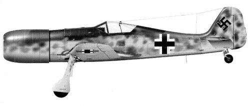 Fw190TL PIC1.jpg