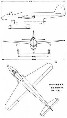 P2 PIC2 (2).jpg
