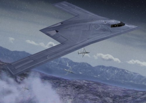 ng lrs-b 2011.jpg