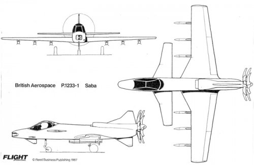 SABA-1987%20-%202587.jpg