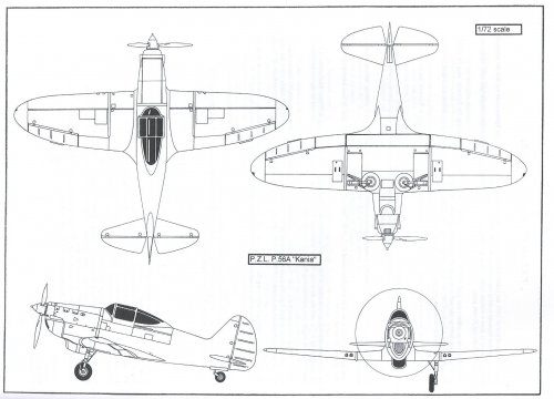 Kania-2.jpg