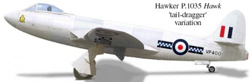 p1035-hawk-taildragger.jpg