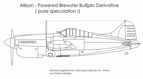 Allison-Buffalo.gif