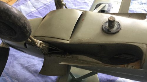 p7 (1).jpg