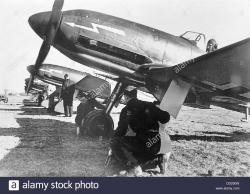 members-of-the-german-wehrmacht-prepare-fighters-of-the-type-heinkel-DD200W.jpg