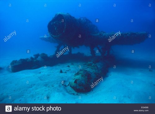 wreck-aichi-e13a-japanese-world-war-two-float-plane-sunk-by-american-EG4595.jpg