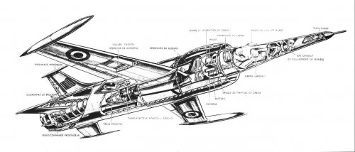 leduc_022_08.jpg