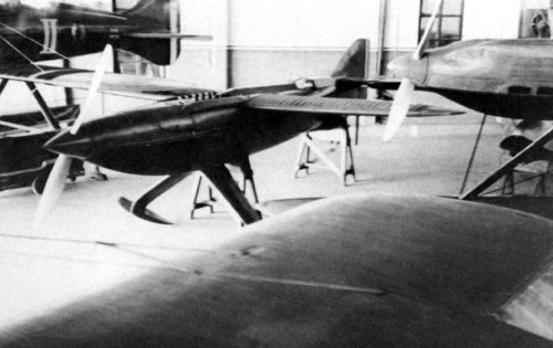 Piaggio_Pegna_P7_in_hangar_in_compagnia_di_4_idro.jpg