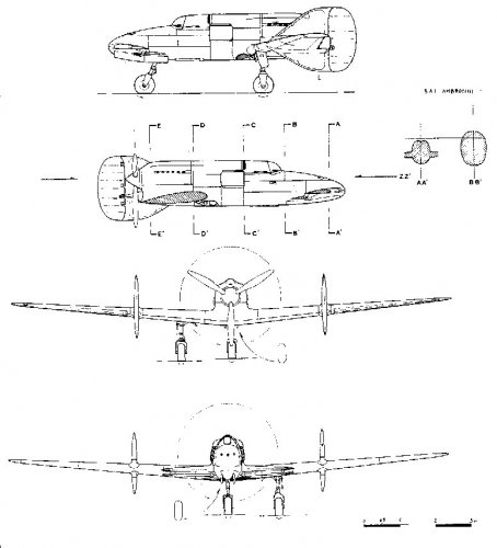 Canard3.jpg