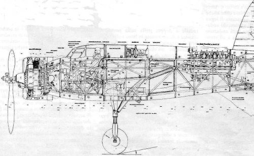 cropped Edited Jona J10 side cutaway.JPG