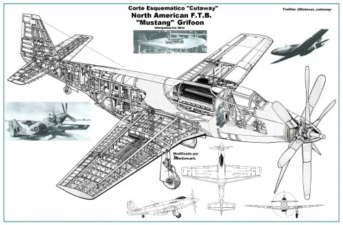 Cutaway Mustang F.T.B. Griffon engine.jpg