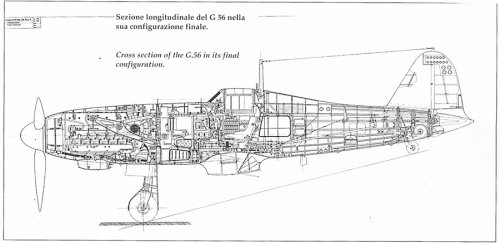 G-56.jpg