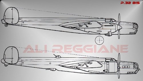 P32B_F1-vi.jpg