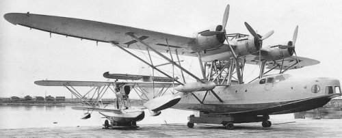 z508_8.jpg