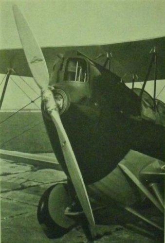 Caproni_Ca__125_04.jpg