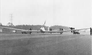 Eaglet　1.jpg