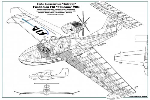 Cutaway WIG Pelicano retocado limpio.jpg