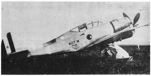 T.18.jpg