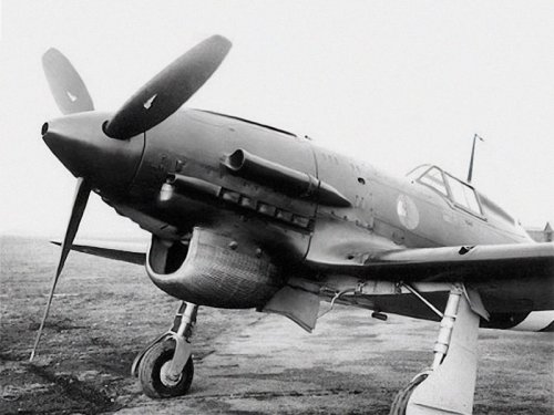 Macchi_M_C_202D_prototype.jpg