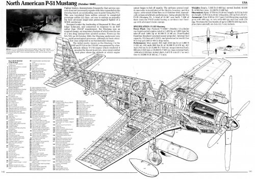 p51b_1_3v_c_cutaway.jpg