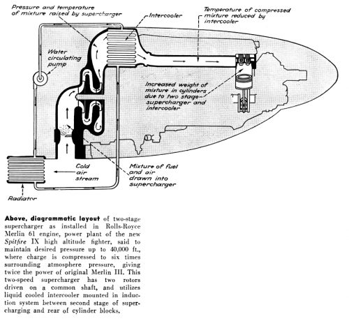 Av_4304_Merlin_sk_p187_W.png