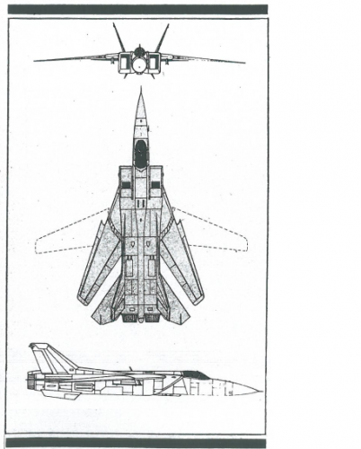 Swing_Wing_Mysterious_Soviet_Fighter.png