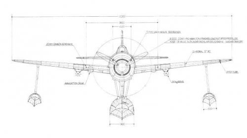 Kyofu front view.jpg