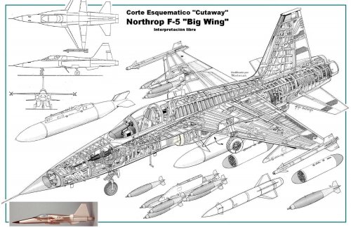 Cutaway Northrop F-5 Big Wing.jpg