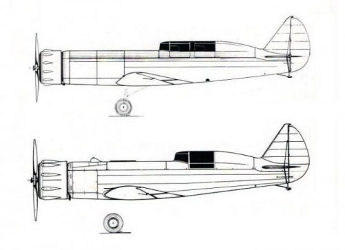 Nardi FN. 305D Walter Bora and DII single-seater.jpg