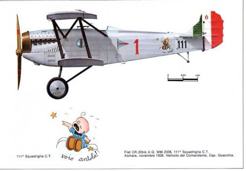 fiat cr.20.jpg