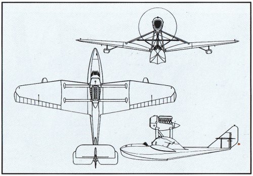 Savoia-Marchetti S-67-.jpg