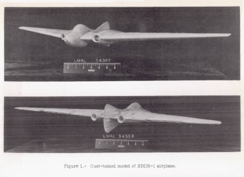 Gust tunnel test model.jpg