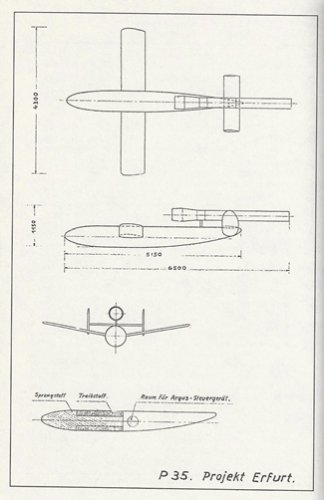 P.35.jpg