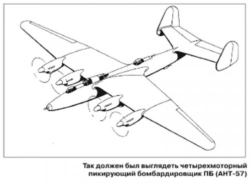 ANT-57.jpg