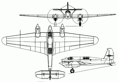 ant-29.gif