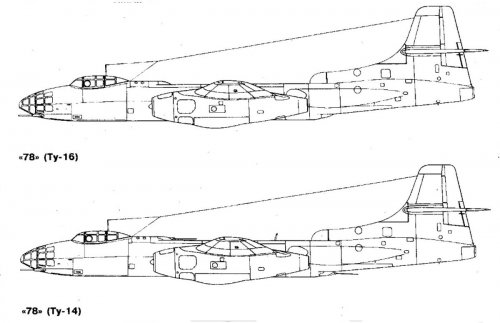 78.jpg