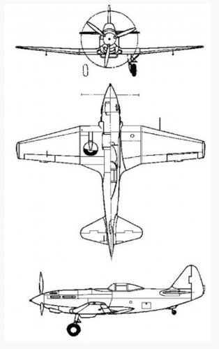 Pashinin I-21 No3 prototype.jpg