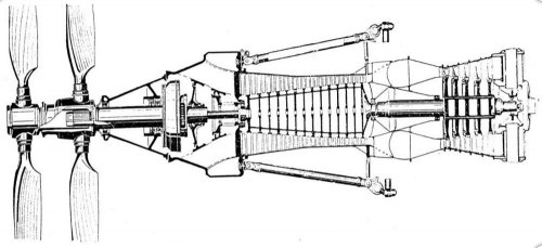 NK-12.jpg