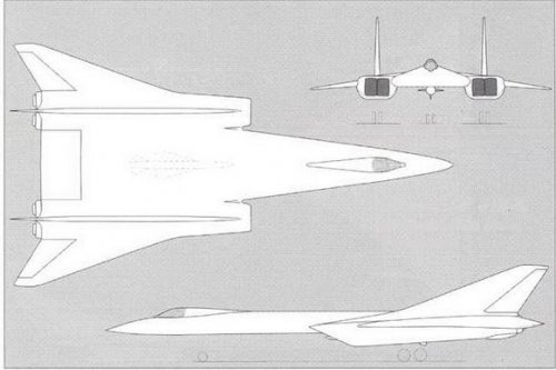 The plane 135 NC 4-6 performed a tailless aircraft.jpg