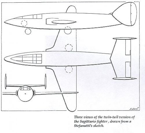 Sagittario twin fins.jpg