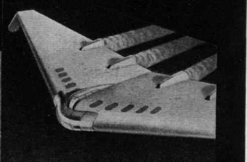 Westland Pterodactly.JPG