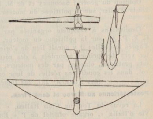 A.W.F-12.png