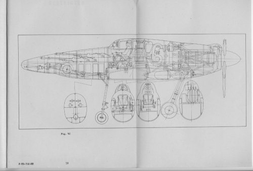 Shinden August 7 1944.jpeg