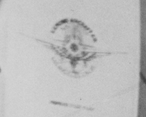 Untitled-5crop.jpg