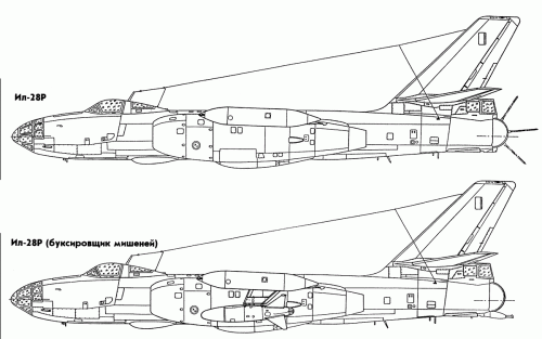 il28r-1.gif