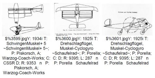 Piskorsch & Porella cyclogyros.JPG