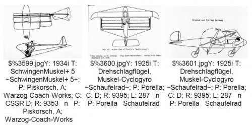 Piskorsch & Porella cyclogyros.JPG