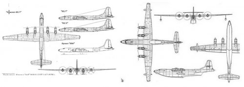 Tu-85_and_504_flying_boat.jpg