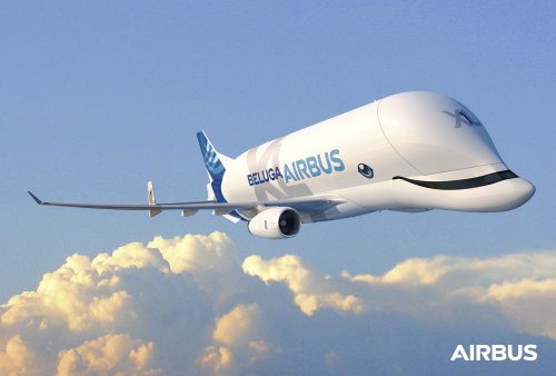 BelugaXL.jpg