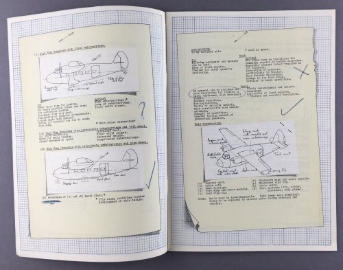 Merganser Studies 2.jpg